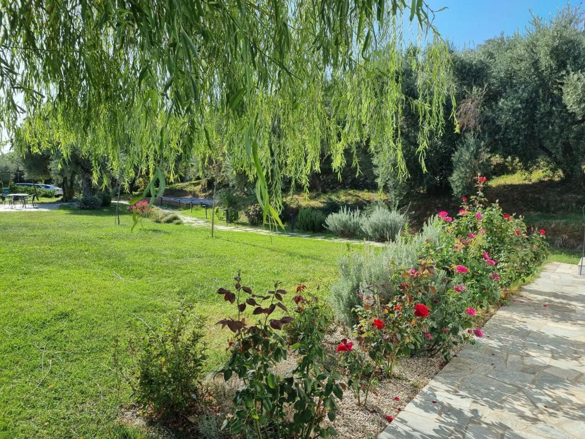 Moses Villa Chorefton Exterior photo